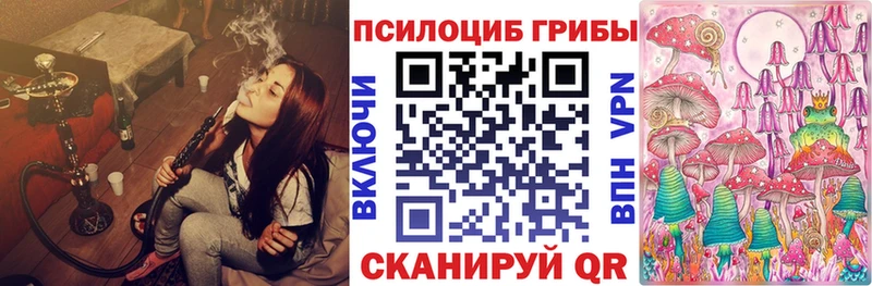 наркота  Гай  Псилоцибиновые грибы ЛСД 