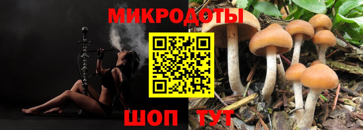 Псилоцибиновые грибы GOLDEN TEACHER Гай