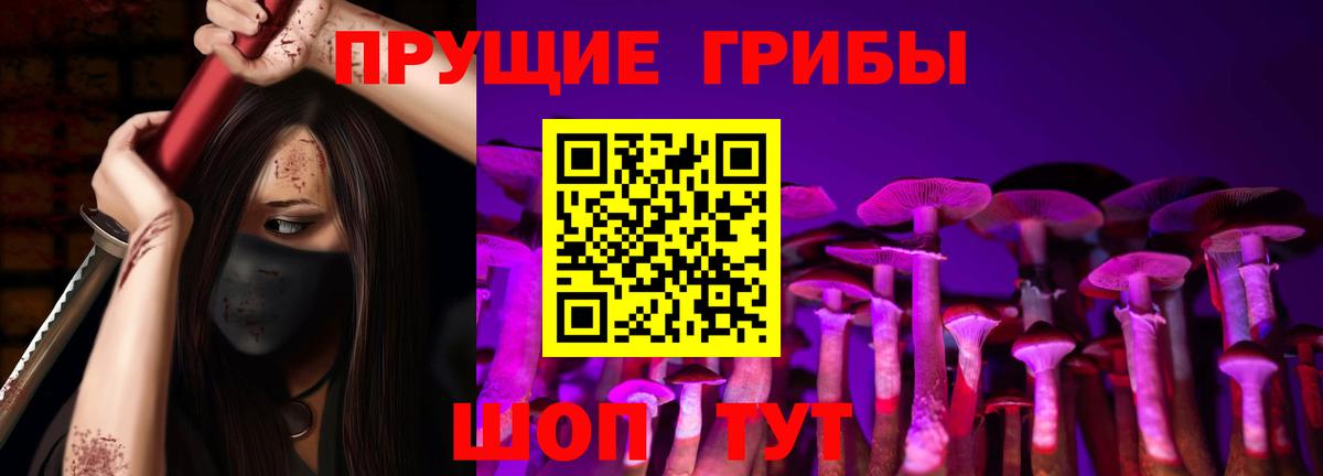 Гай  продажа наркотиков  Вход с VPN  Псилоцибиновые грибы Magic Shrooms 